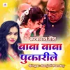 About Baba Baba Pukarile Song